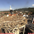 10_05-nest.jpg