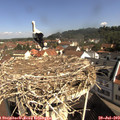 10_10-nest.jpg