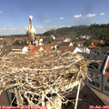 10_30-nest.jpg