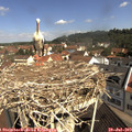 10_35-nest.jpg
