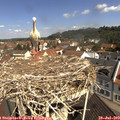 10_50-nest.jpg