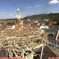 10_55-nest.jpg