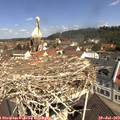 11_05-nest.jpg