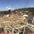 11_35-nest.jpg