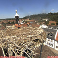 12_45-nest.jpg