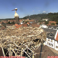 13_05-nest.jpg