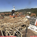 13_20-nest.jpg