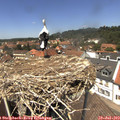 13_25-nest.jpg
