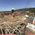 13_30-nest.jpg