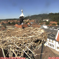13_35-nest.jpg