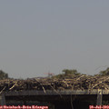 13_55-mast.jpg