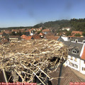 13_55-nest.jpg