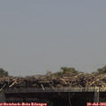14_00-mast.jpg