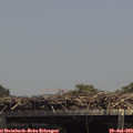 14_05-mast.jpg