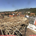 14_05-nest.jpg