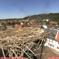 14_15-nest.jpg