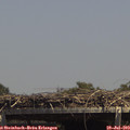 14_20-mast.jpg