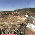 14_20-nest.jpg