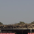 14_25-mast.jpg