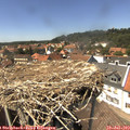 14_25-nest.jpg