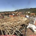 14_30-nest.jpg