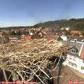 14_45-nest.jpg