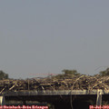 14_55-mast.jpg