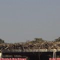 15_10-mast.jpg