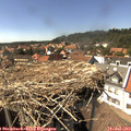 15_30-nest.jpg