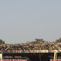 15_40-mast.jpg