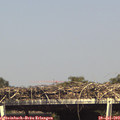 15_45-mast.jpg