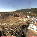 15_45-nest.jpg