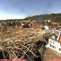 16_00-nest.jpg