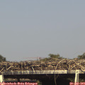 16_10-mast.jpg