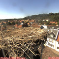 16_10-nest.jpg