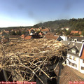 16_15-nest.jpg