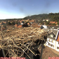 16_20-nest.jpg