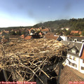 16_30-nest.jpg