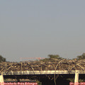18_10-mast.jpg