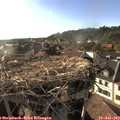 18_30-nest.jpg