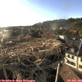 18_55-nest.jpg