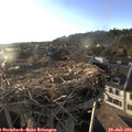 19_15-nest.jpg