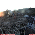 20_55-nest.jpg