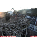 21_00-nest.jpg