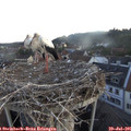 06_00-nest.jpg