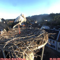 06_30-nest.jpg