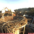 06_40-nest.jpg