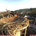 06_45-nest.jpg