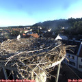 06_50-nest.jpg