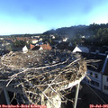 07_00-nest.jpg